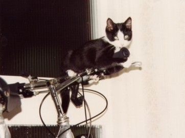 Lottie when very young